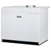 ГАЗОВЫЙ КОТЕЛ FERROLI PEGASUS F3 N 221 2S
