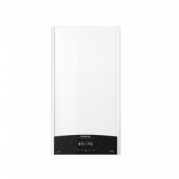 ГАЗОВЫЙ КОТЕЛ ARISTON GENUS X 30 FF NG / 3300853