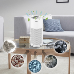 ОЧИСТИТЕЛЬ ВОЗДУХА KITFORT KT-2813