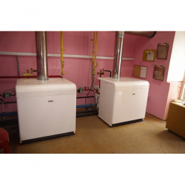 ГАЗОВЫЙ КОТЕЛ FERROLI PEGASUS 87 2S