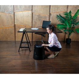 МОЙКА ВОЗДУХА MIE PRIMAVERA (ЧЕРНЫЙ)