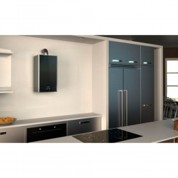 ГАЗОВЫЙ КОТЕЛ ARISTON ALTEAS X 30 FF NG / 3300847