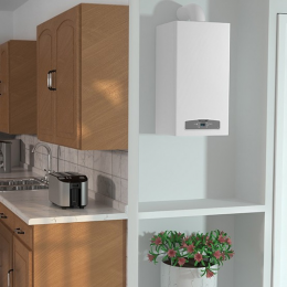 ГАЗОВЫЙ КОТЕЛ ARISTON CLAS X 24 CF NG / 3300866
